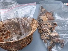 Во Франции нашли останки русского солдата, погибшего во время Первой мировой