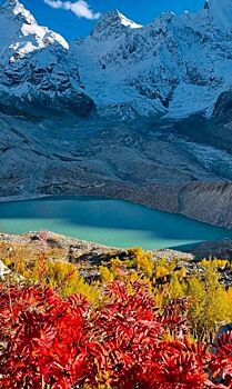 Давид Мелик-Гусейнов раскрыл, чем занимается после ухода из «Пари НН»