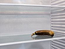 Эксперт по биобезопасности рассказала, каким овощам и фруктам не место в холодильнике