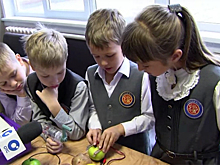 Как три яблока заменяют электрическую батарейку