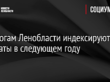 Педагогам Ленобласти индексируют зарплаты в следующем году