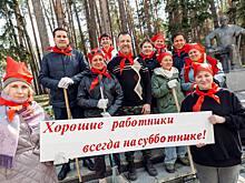 Двери на граблях: в Новосибирске чиновники и врачи ушли на субботник