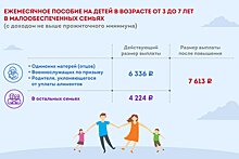 Собянин: Повышение детский пособий - мера не временная, а постоянная