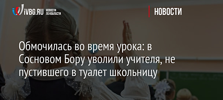 Обмочилась во время урока: в Сосновом Бору уволили учителя, не пустившего в туалет школьницу