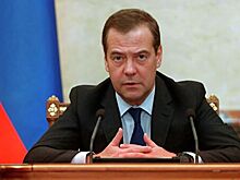 Медведев назначил замглавы Минприроды