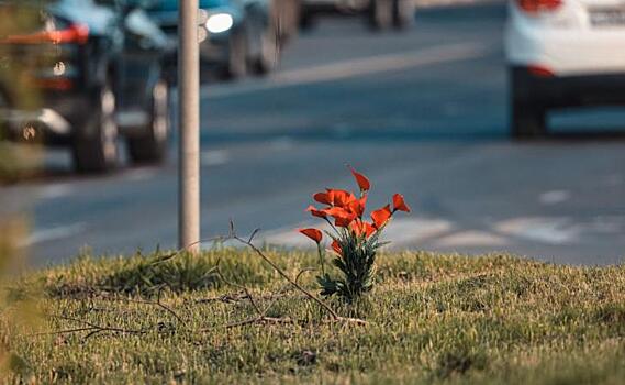 В Курчатове прошел день памяти жертв ДТП