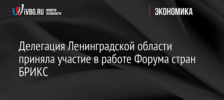 Делегация Ленинградской области приняла участие в работе Форума стран БРИКС
