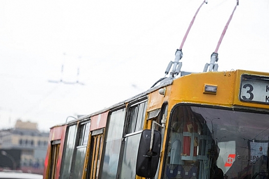 Троллейбусы есть, а водителей нет: во Владивостоке не могут запустить новый маршрут