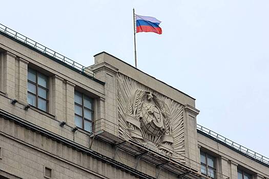 В Госдуме высказались о перспективах введения налога на бездетность в России