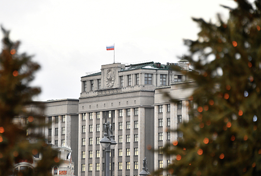 В Госдуме возобновили прием граждан