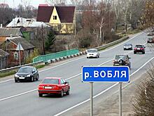 Ход конем: Село Пьянка еще скажет свое слово на президентских выборах