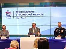 Уровень доверия остается высоким: в &laquo;Единой России&raquo; подвели итоги выборов на Дону