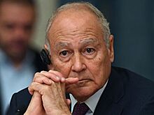 Генсек ЛАГ назвал организацию "последней крепостью" арабского мира