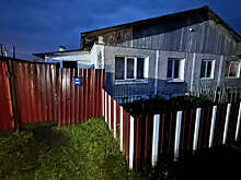 СКР: котенка из дома отравившейся семьи отправили на экспертизу в Красноярск