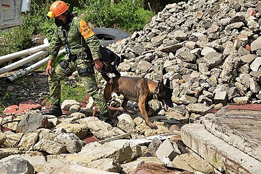 Число жертв землетрясения в Гаити выросло до 1297