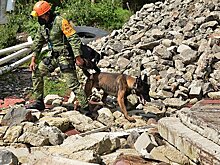 Число жертв землетрясения в Гаити выросло до 1297