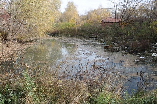 В чувашском городе превращается в свалку река Аниш — ОНФ