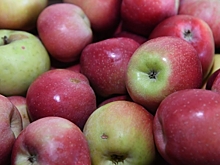 Названы 5 лучших продуктов для избавления от жира на животе