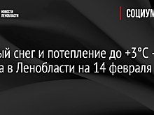 Мокрый снег и потепление до +3°C - погода в Ленобласти на 14 февраля