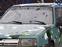 В Пензе «покупатели» автомобиля решили его угнать