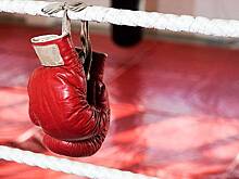 Назвавшего россиянина «русской свиньей» бойца MMA избили