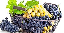 В чем польза винограда для здоровья