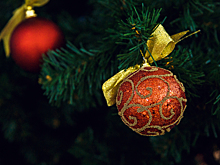 Врач посоветовал кузбассовцам полезные напитки для новогоднего застолья