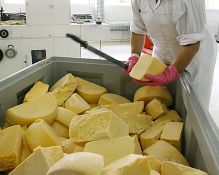 Крупное молочное предприятие под Саратовом занималось мошенничеством