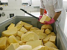 Крупное молочное предприятие под Саратовом занималось мошенничеством