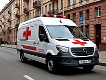 Сверток с деньгами в Красногорске оказался взрывным устройством с гвоздями