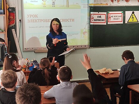Хабаровские электрические сети рассказали школьникам правила электробезопасности