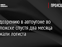 По подозрению в автоугоне во Всеволожске спустя два месяца задержали логиста