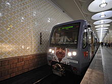 Новый тематический поезд начнет курсировать по «серой» ветке метро Москвы
