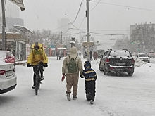 Амурскую область накроет циклон: синоптики предупредили о мокром снеге и сильном ветре