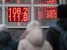 Курсу доллара спрогнозировали рост до 115 рублей