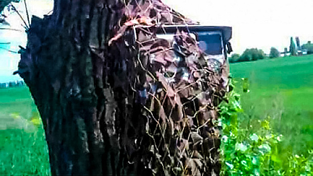 Скрытые камеры ГИБДД в деревьях озадачили водителей