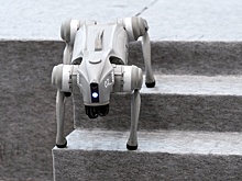 В Нью-Дели разгорелся скандал из-за китайской робособаки, выданной за индийскую