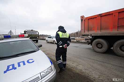 На подъезде к Екатеринбургу фура сбила лося
