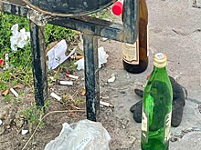 В администрации Рязани составили список питейных заведений, работающих без лицензии