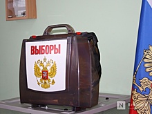 11 кандидатов заявились на праймериз по выборам в Заксобрание Нижегородской области
