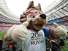 В Москве вход на территорию фан-зоны закрыли из-за максимальной загрузки