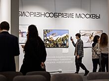 «Золотая черепаха» подготовила большую социальную программу для горожан