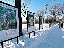 Новая экспозиция "Атлас Капотни" открылась в столичном парке
