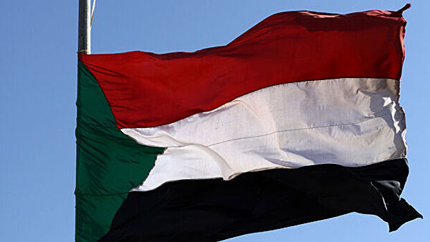 Заседание межправкомиссии Россия — Судан отложили из-за коронавируса