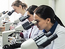 В российской науке выросло число молодых ученых