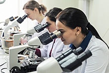 В российской науке выросло число молодых ученых