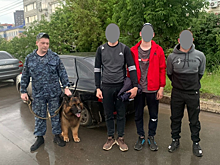 Полицейские задержали троих рязанцев, сливающих бензин из припаркованных автомобилей