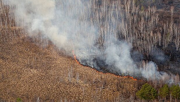 В Сибири лесные пожары охватили 1,5 тысячи гектаров тайги