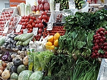Дефицит продовольствия в РФ могут почти полностью закрыть за 3–5 лет