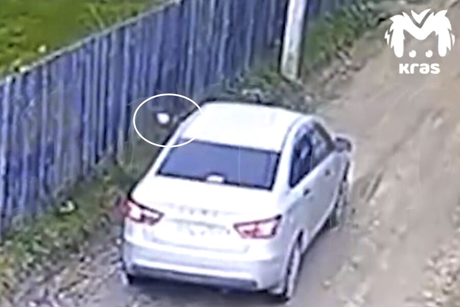 Mash: красноярцы расстреляли из автомобиля дом главы села